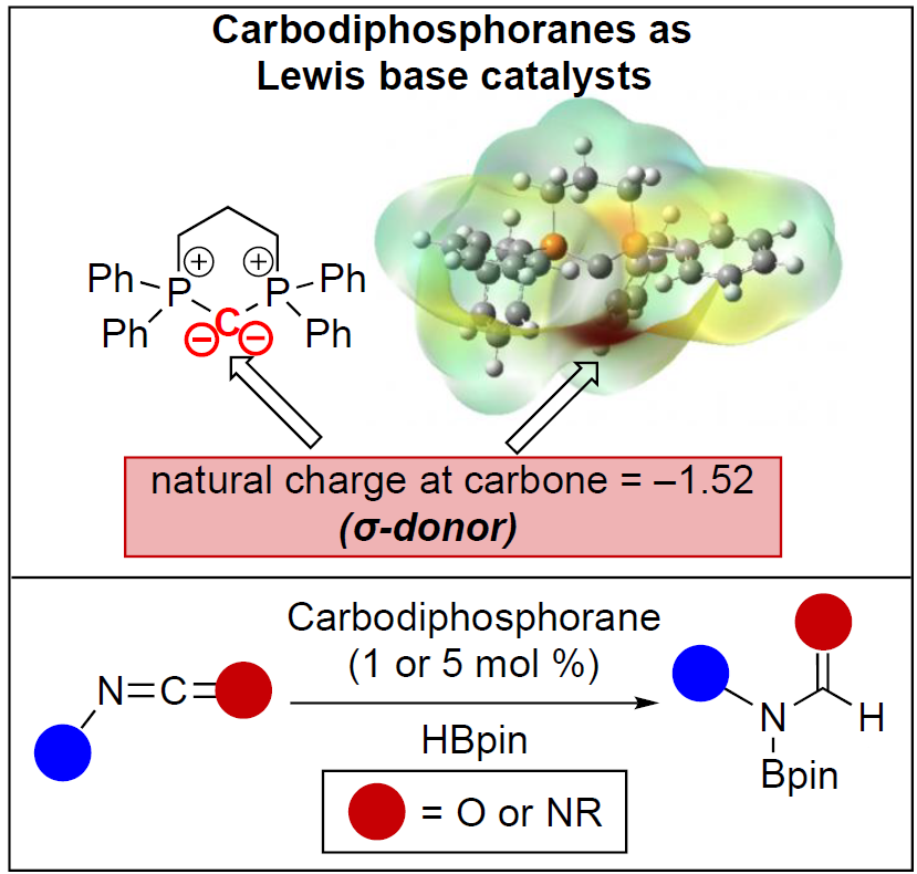 Boron_Chemistry's tweet photo. Carbodiimide and Isocyanate Hydroboration by a Cyclic Carbodiphosphorane Catalyst (@ChemEurJ): https://t.co/Y6YHgozqkP (@AllegraLiberman, @ChapmanU). https://t.co/k01UCm7fua