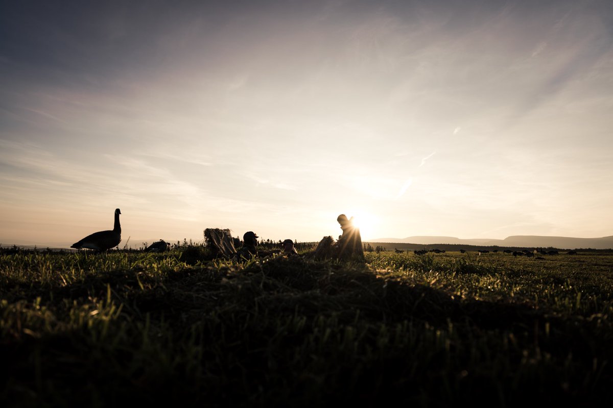 KastineColeman's tweet photo. Hunting is more than a sport; it’s a tradition passed down from generation to generation. From early morning wake-up calls to sitting quietly in nature, hunting with family brings a unique connection and shared experience like no other.
#hunting #tightloopstightlines #explorenl https://t.co/tkfxn5n8WO
