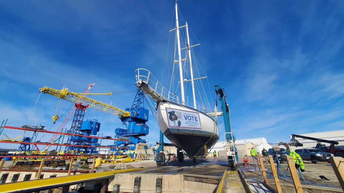 CoopGuardian's tweet photo. Manitowoc showing the love to the Pūteketeke, expanding 'virtual' banners all over the city. Even on the historic Great Lake schooner Utopia which has connections to New Zealand, stopping by on one of her two round the world trips in the early 1950's. @charleswmwilson @KayeFoley https://t.co/9xJ6uAAGKz