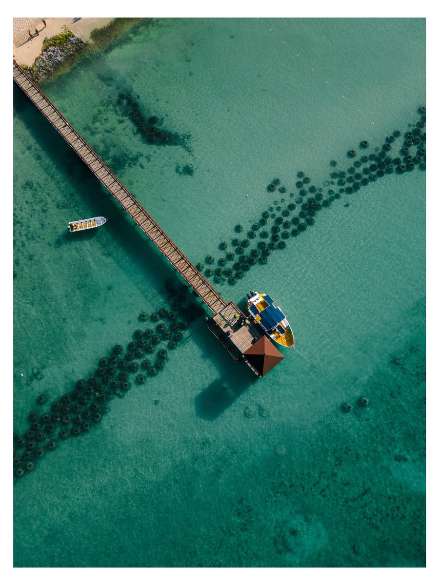 juancastrovarga's tweet photo. Drone shots from our beach trip. 

DJi Mini 3 pro being an absolute joy. Edited in Lr Mobile. https://t.co/m3Jn3zCmsE