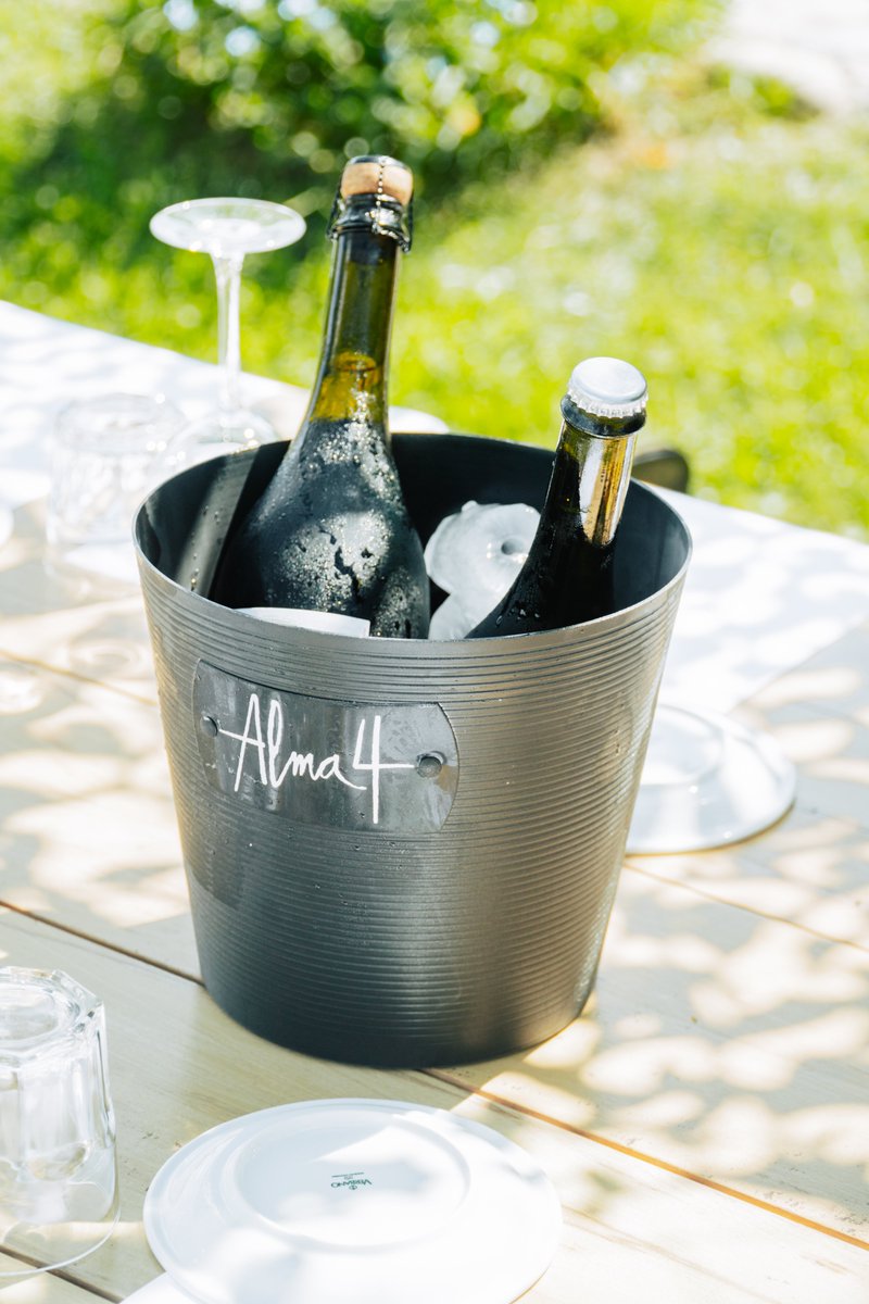 Alma 4 bajo el sol de primavera, un plan ideal para hacer todos los días.