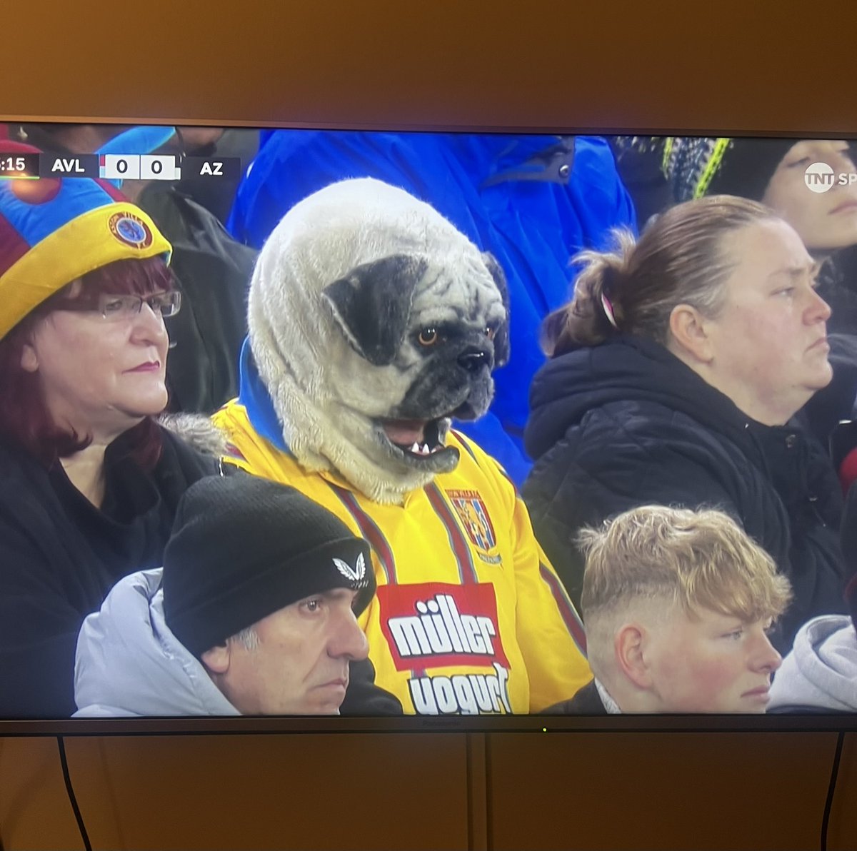 The92Bible tweet media