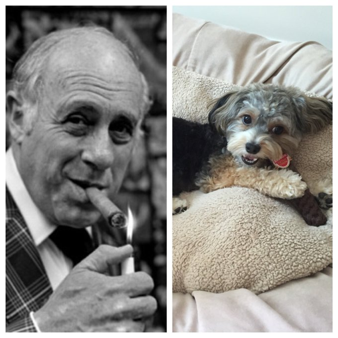 Nicole Auerbach tweet media