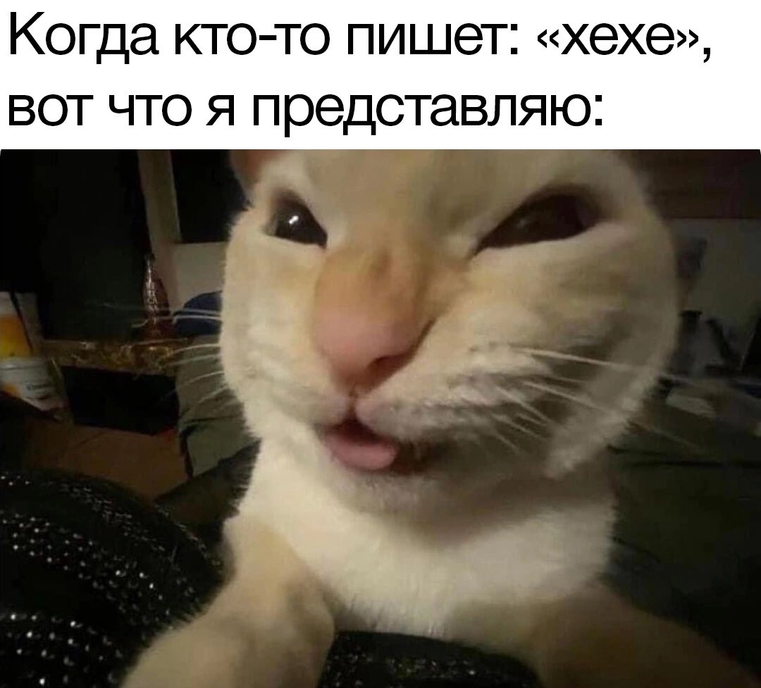buIo4ka's tweet photo. @SUPPORT_C_MAPCA https://t.co/pZeEbm9ZfW