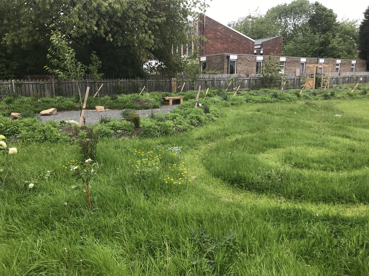 📢Funded PhD opportunity <a href="/NUGeog/">Geog & Env Sciences</a> 

<a href="/ONEPlanetDTP/">ONE Planet DTP</a> project: 'Grow or Mow'

Exploring impacts of #urban greenspace management on #pollinators and #soil ecosystem services🐝🦋🌱🪱

Deadline: 11th Jan 2024

More info and links in 🧵