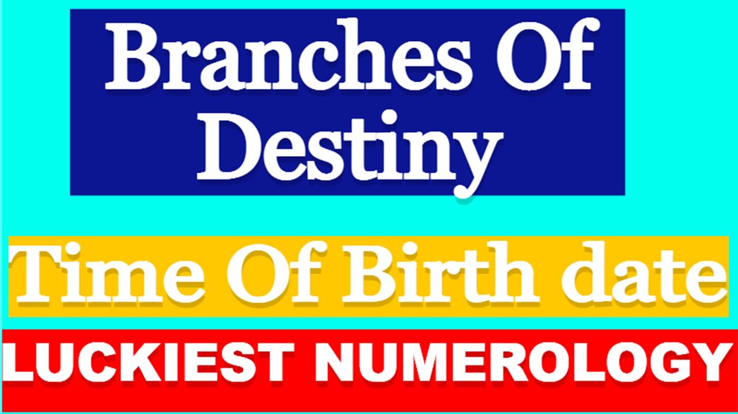 mustufaellahee's tweet photo. Numerology with  World Class Media Celebrity Numerologist MustafaEllahee Live #trending #viral #NUMBERSHOT #name #Reels #numerologist #allahkahukum #alquran #Allah #pakiatan #world https://t.co/n6ltzUpTsD https://t.co/WBE5sY37ai https://t.co/ET5bN0lfg7 https://t.co/FuSoHC98vU