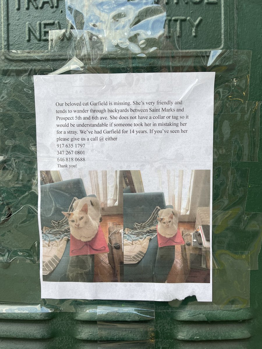 North Park Slope, Brooklyn, keep an eye out for Garfield!