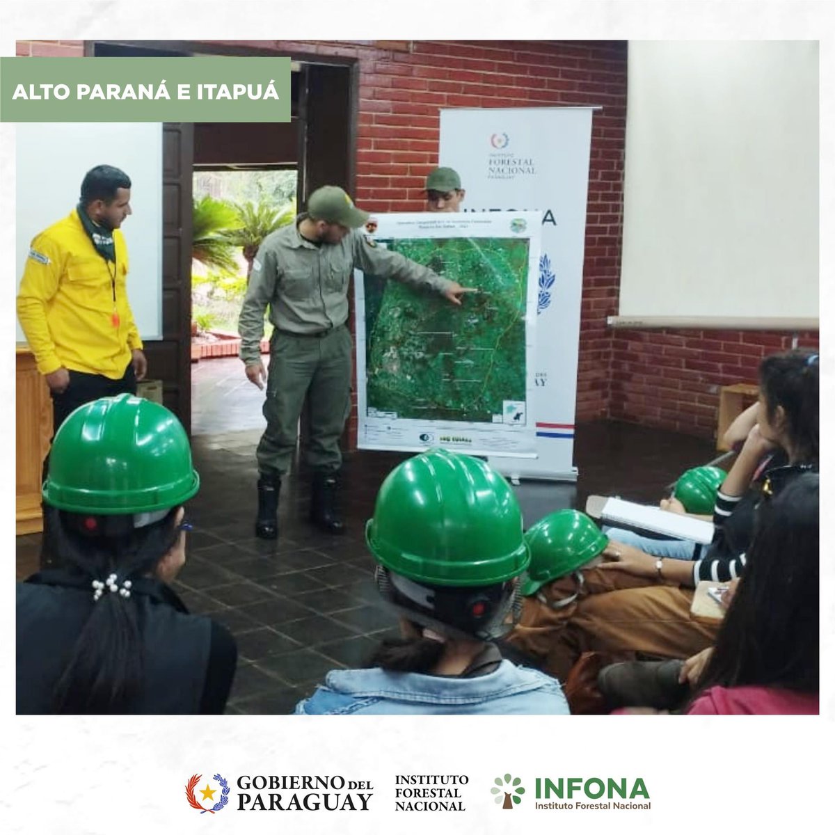 🌳🙌 ¡La protección de nuestros bosques es una responsabilidad compartida!