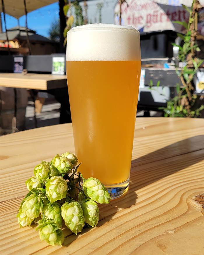 SDBeerNews's tweet photo. Our #WhatsTapping list of #new beers at local breweries is almost 80 deep. It must be @SDBeerWeek! Check out these beers from @BallastPoint &amp; @DeftBrewing plus #beer recommendations from @Bottlecraft. | https://t.co/xJKwmhscEo

#sdbeernews #sandiego #craftbeer #sdbeer #sdbeerweek https://t.co/oMtIYSHwHt