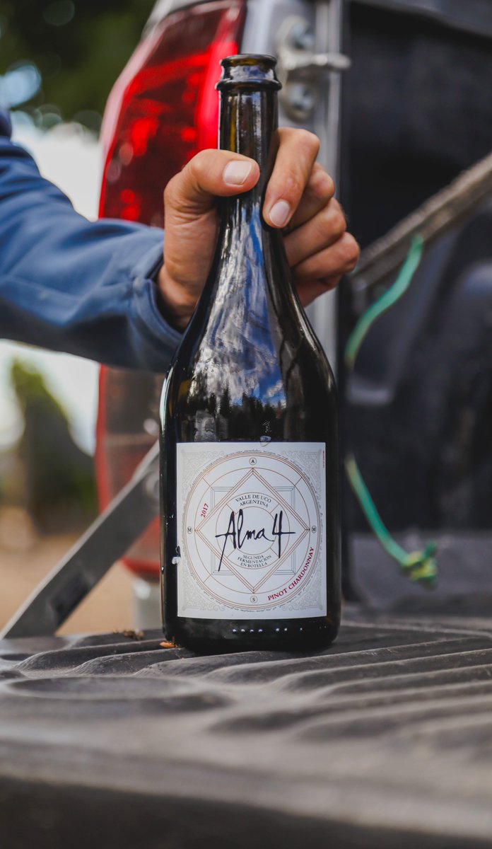 La delicadeza y elegancia de nuestro Pinot Chardonnay van de la mano con una frescura que te lleva a las alturas del Valle de Uco.