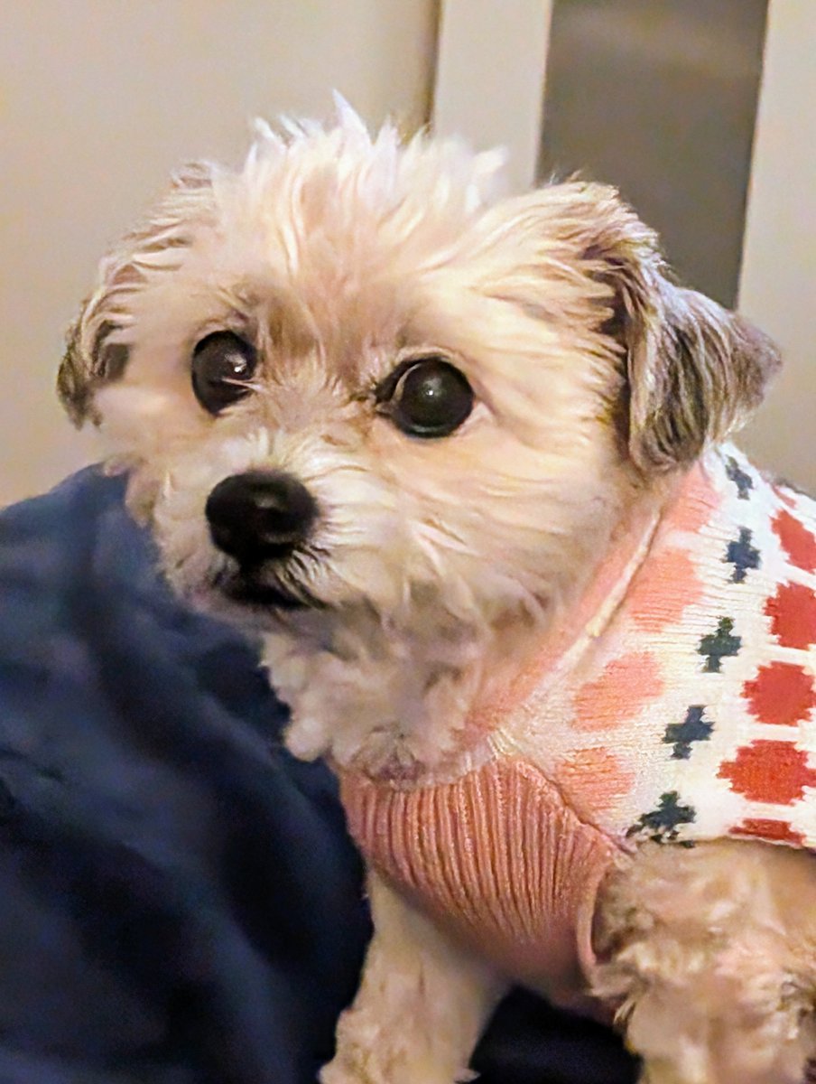 The Jay Harmer Foundation tweet media