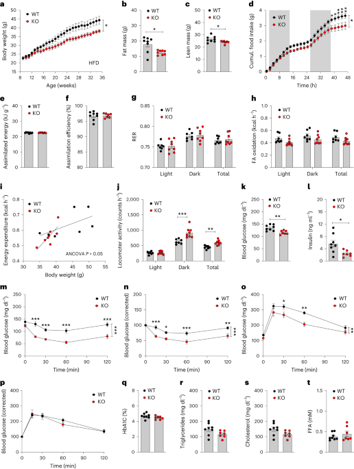 Nature Metabolism tweet media