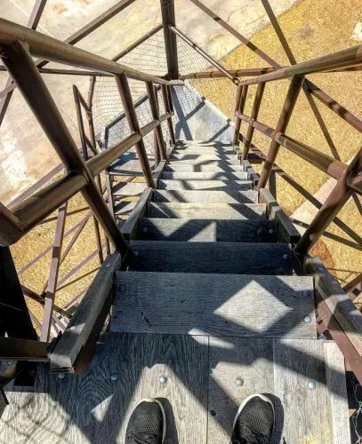 VisitIndiana's tweet image. How Many of These 13 Indiana Fire Towers Have You Climbed?

𝐑𝐄𝐀𝐃 𝐌𝐎𝐑𝐄: bit.ly/3PJCmW7

#Indiana #INnature @INDNRstateparks @INdnrnews