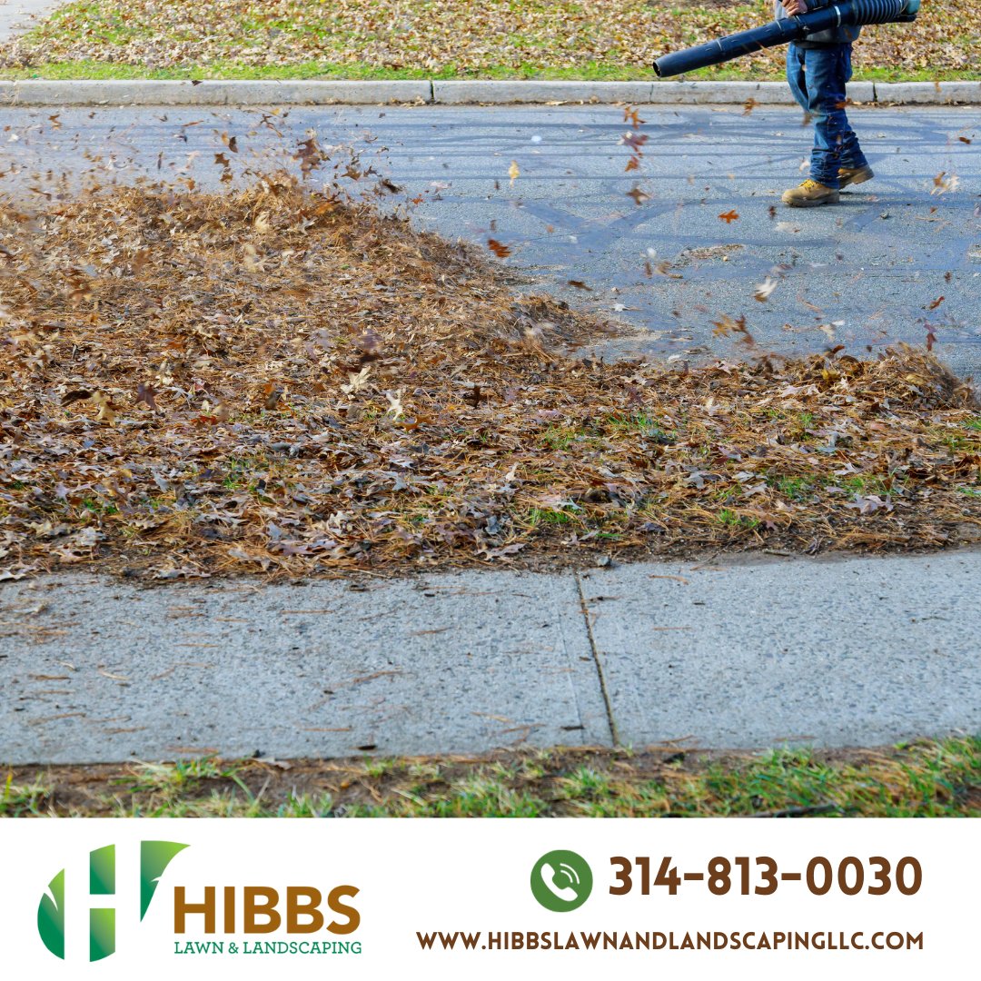 Tis the season for leaf removal! Call us today to schedule your appointment. 🍂

📞 (314) 813-0030

#hibbslawncare #lawncare #lawn #lawnservice #lawncareservice #lawnmaintenance #propertymaintenance #lawntreatment #healthylawn #fallcleanup #cleanup #yardmaintenance #fallleaves