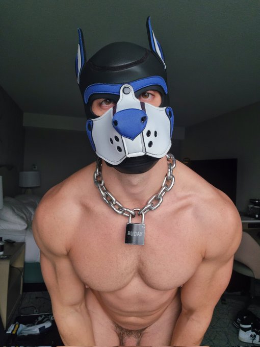 Peekaboo 😘 give me your butt! https://t.co/WdHEsCb9de<a href="/tag/snaxberlin"class="tags"><span>#snaxberlin</span></a>