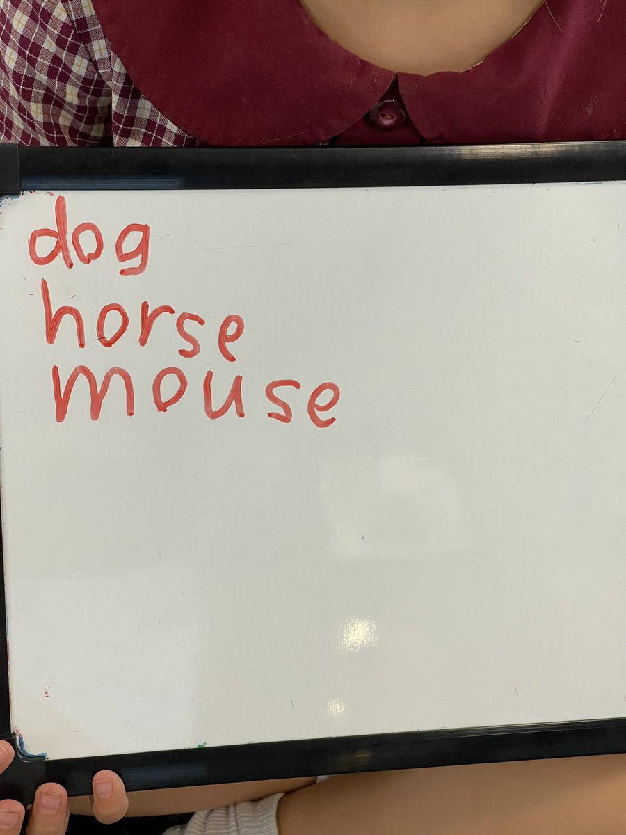 Using my <a href="/GetReadingRight/">Get Reading Right</a> magnetic letters to teach alphabetical order in Kindy 🙂 <a href="/JoDooner/">Jo-Anne</a> <a href="/JustinCaban_/">Justin Caban</a>