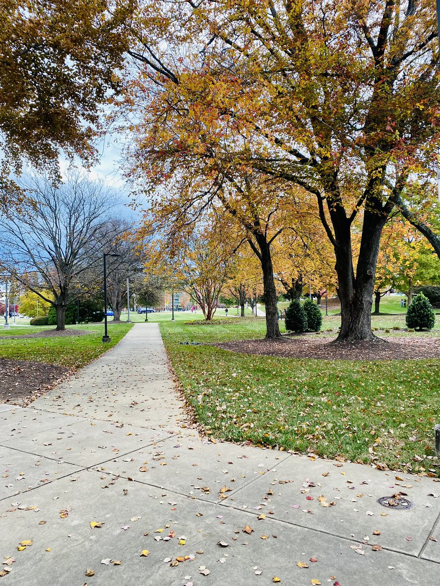 britt miller tweet media