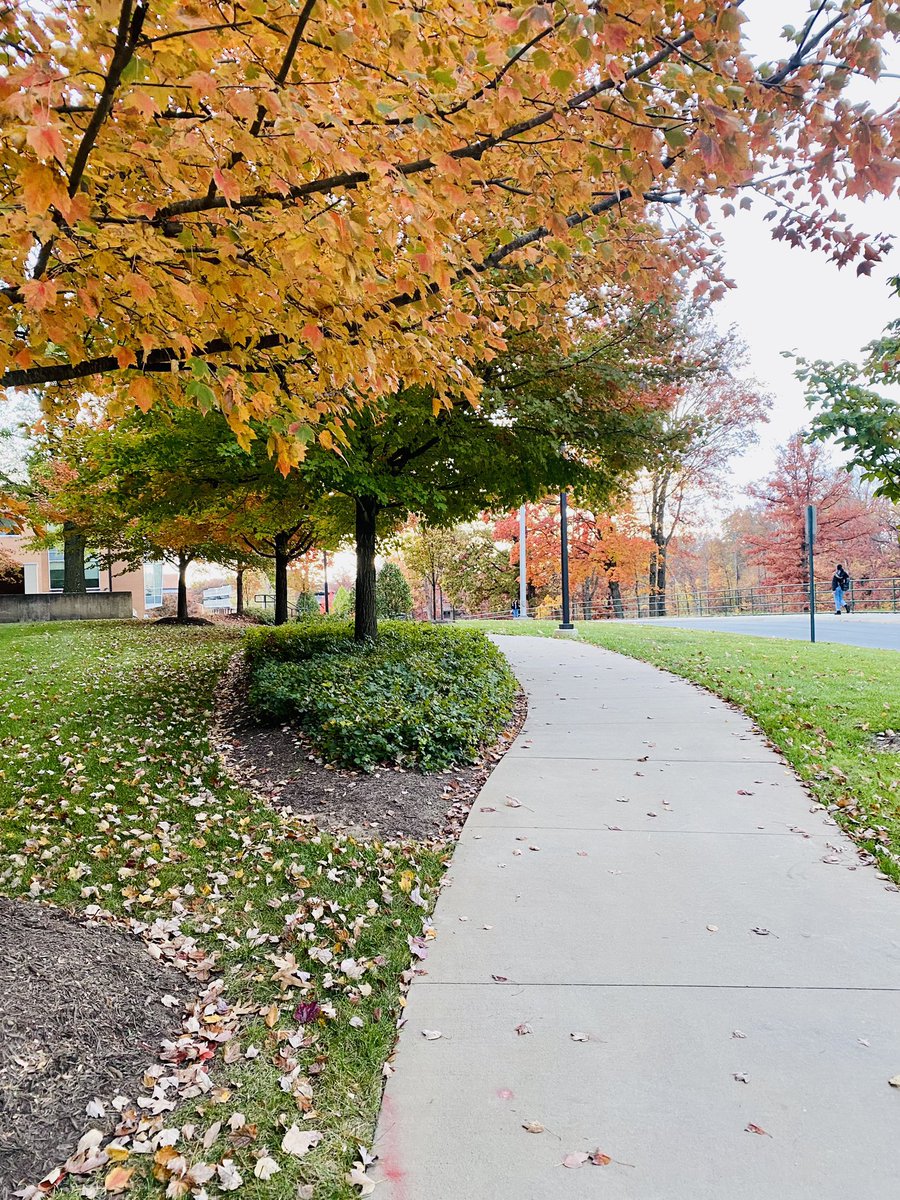 britt miller tweet media