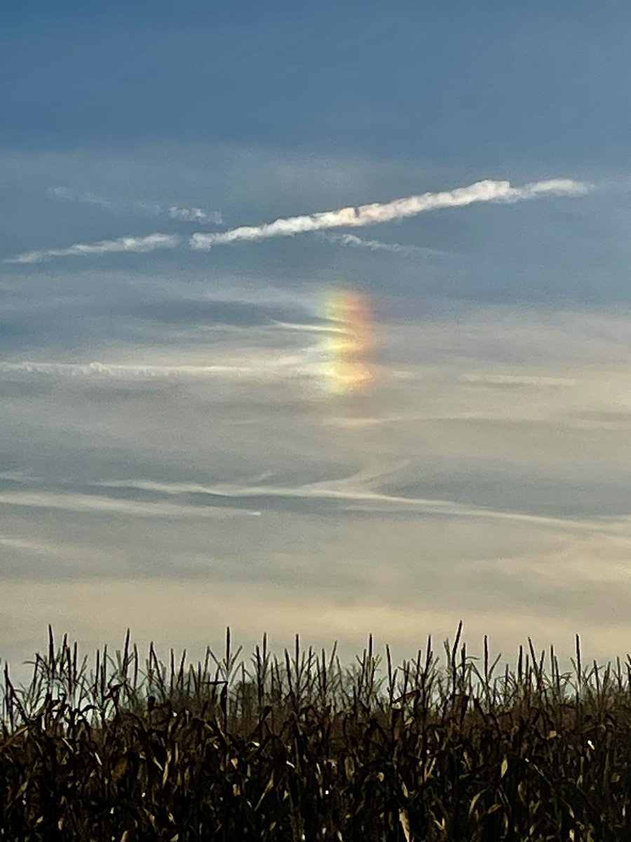 mpicsb's tweet image. 