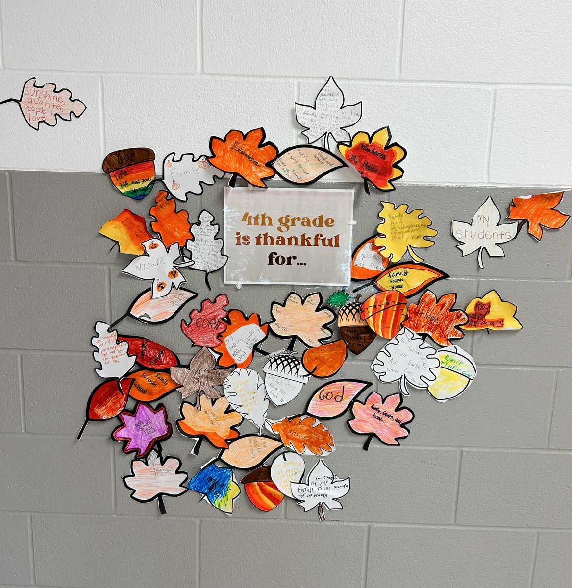 Miss Katie Thompson tweet media