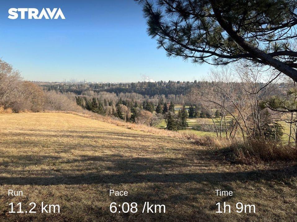 Caseychoma's tweet photo. Slow and steady one to start the long weekend. Can't believe it's still shorts weather, I'll take it as long as I can get it. #foreverfall #running #yegvirtualrunningclub https://t.co/8FDEcZhvPB