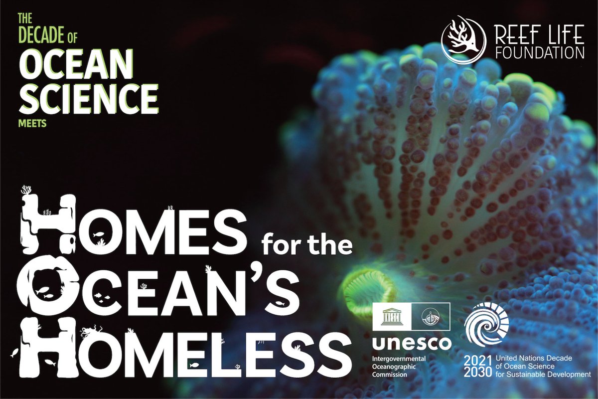 Reef Life Foundation tweet media