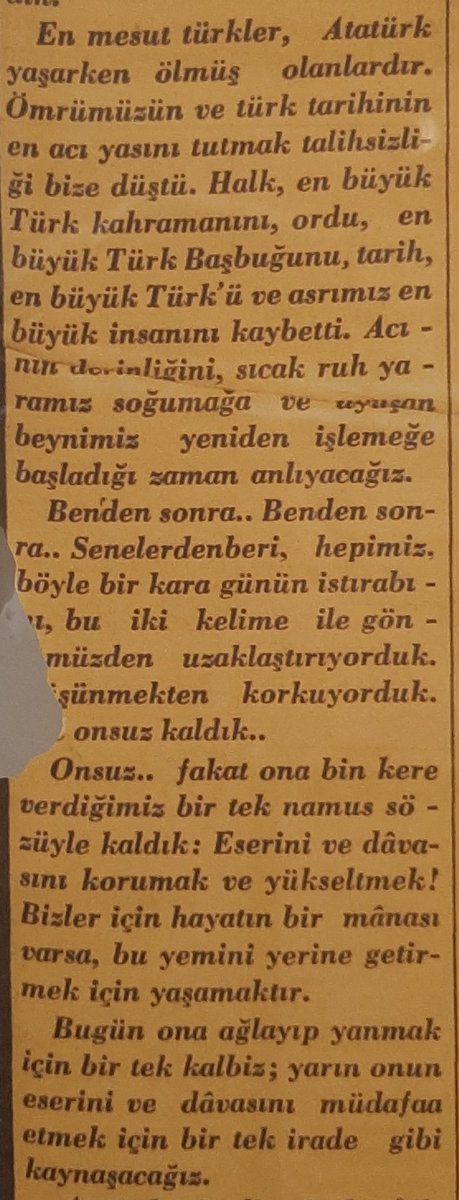 Sir Lebrončić Bestic (@toliveder_) on Twitter photo 