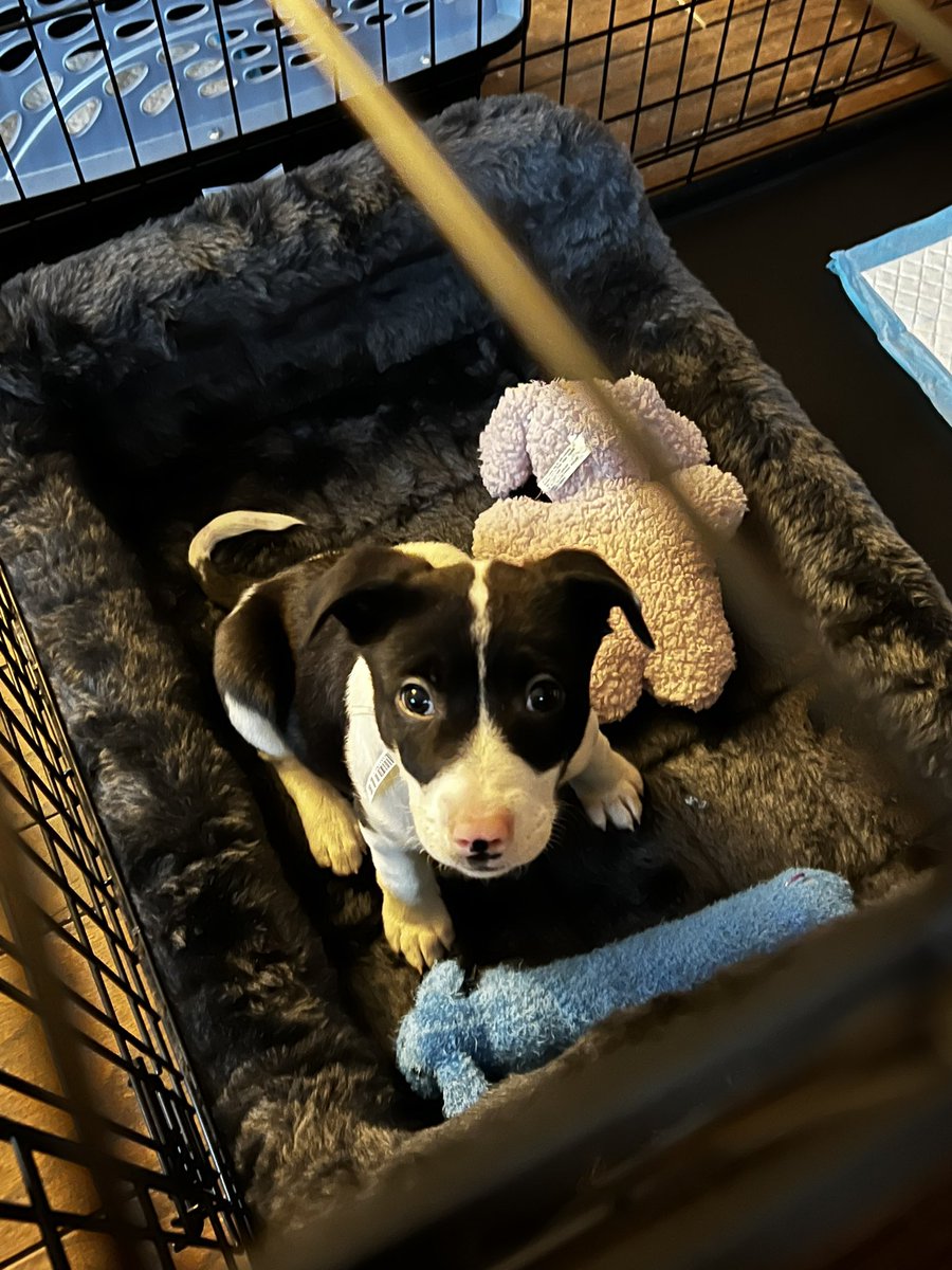 He’s just the cutest 🥰