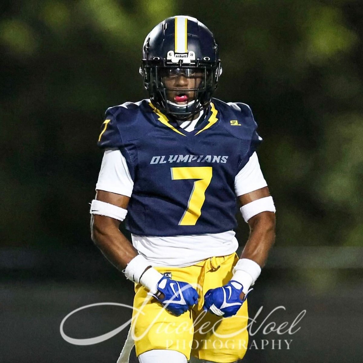 Tyson Shields tweet media