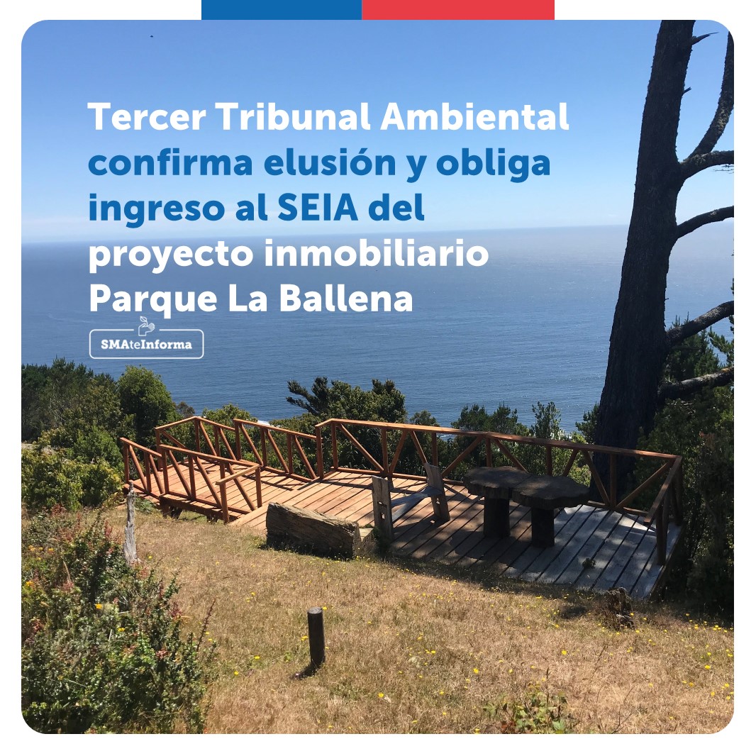 SMA_CL's tweet photo. #SMAteInforma 📣
La @SMA_CL constató que el proyecto inmobiliario Parque La Ballena, de SMS Ltda e Inversiones Sebastián Eugenio Miranda Hiriart, no cuenta con el permiso ambiental respectivo, lo que fue ratificado por @3tacl.
Más detalles del caso en https://t.co/GzOhsazTr9 https://t.co/6iMe2bkybC