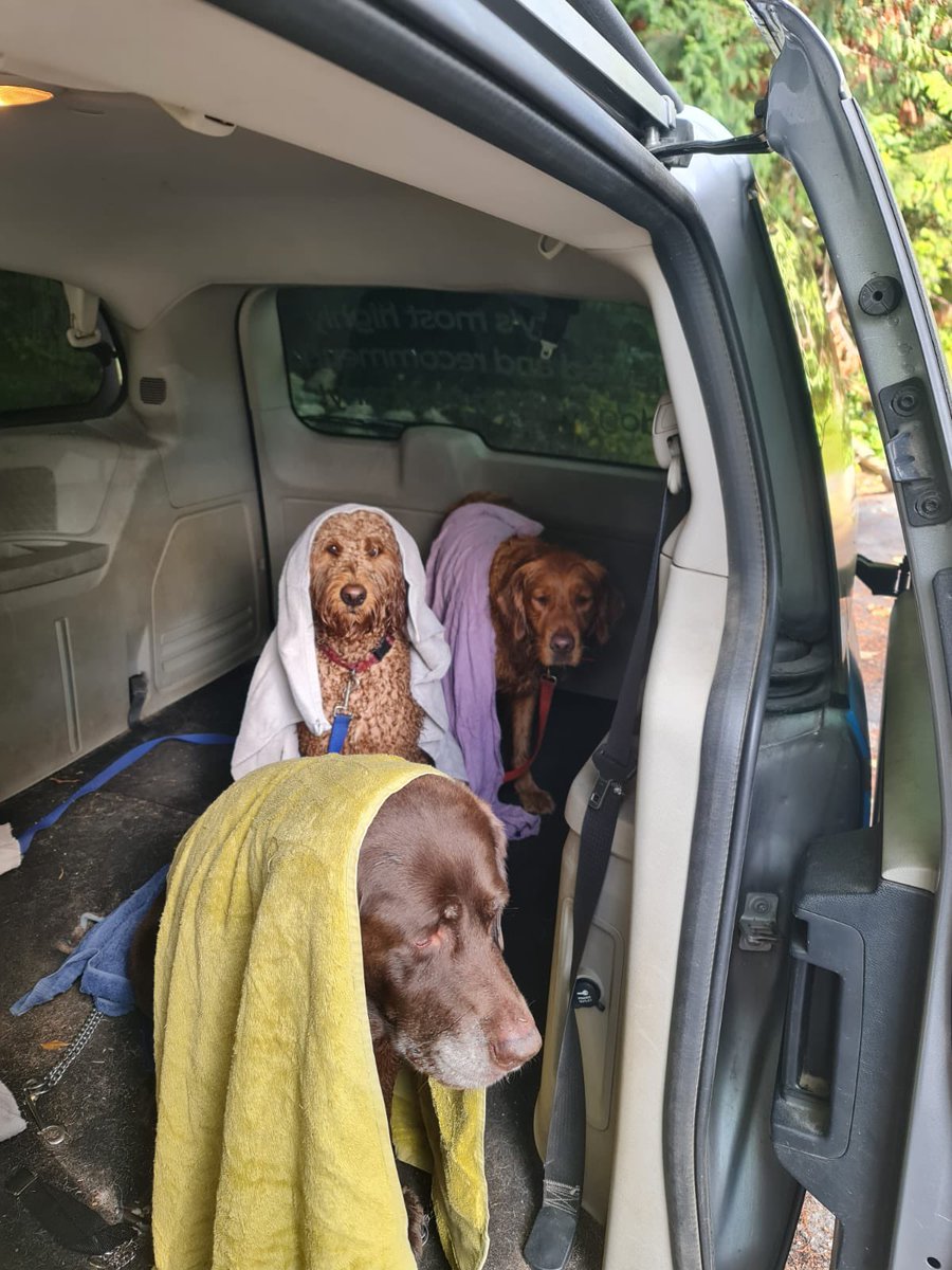 After a rain walk ! Dry our session at the Van !