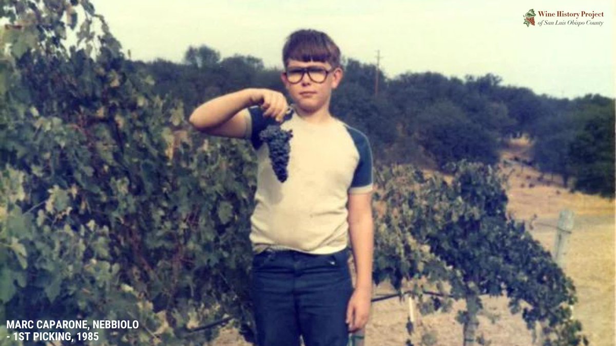 Unearth the rich wine history of San Luis Obispo County! 🍷 Subscribe to our newsletter for a sip of the past and a glass of the present. buff.ly/3phHS5Y

#PasoRobles #SLOwine #EdnaValley #SanLuisObispo #PasoWine #WineHistory #CentralCoast #SanLuisObispoCounty #SLOcounty