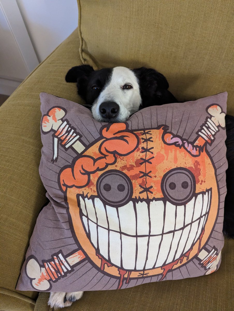 Matt Hall tweet media