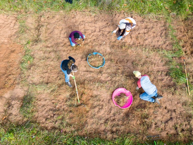 DragNet Global tweet media