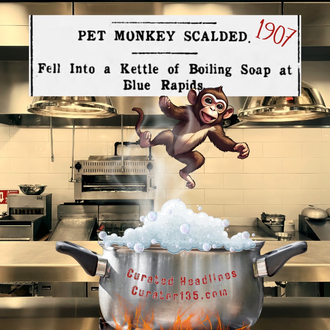 curator135's tweet photo. Ripped from the headlines. This story piqued my curiosity but answered none of my questions. In 1907, pet monkeys were all the rage amongst New York's elite. How one ended up in a Kansas hotel is beyond me.
#weirdnews #vintageheadlines #headlines #monkey #petmonkey #curator135 https://t.co/8doovF3HYK