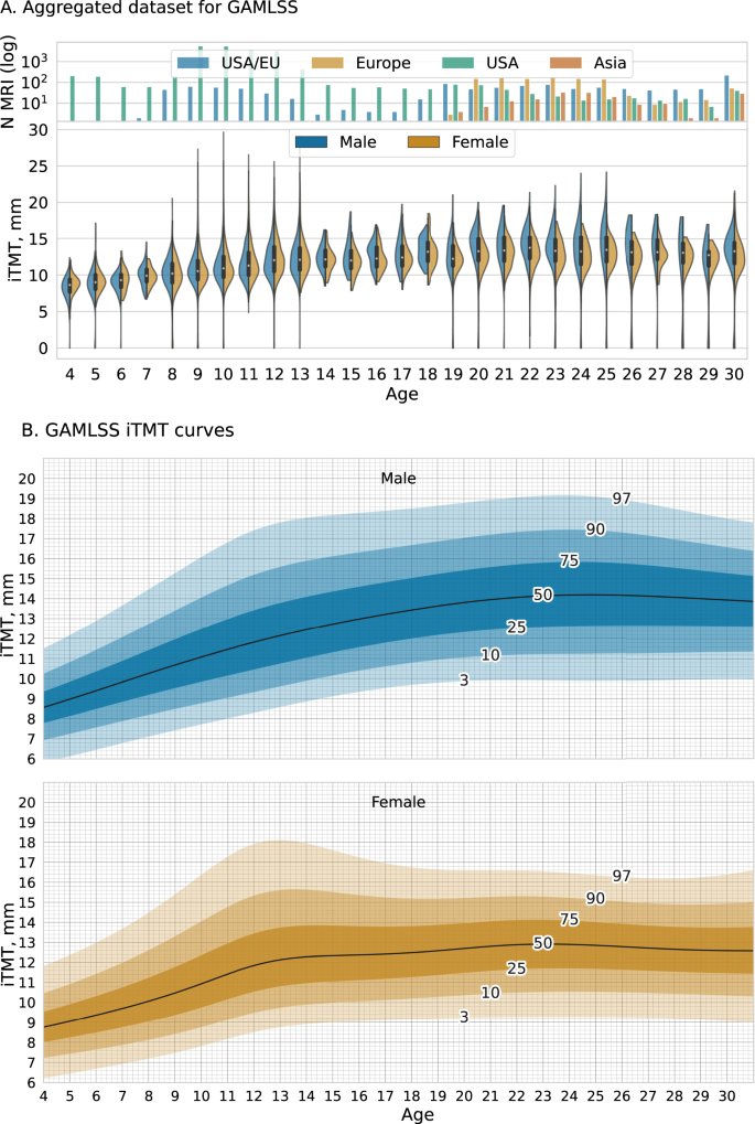 🗞️ Our latest work out today in @NatureComms 🌟 Led by star research fellow Anna Zapaishchykova 🧠 Automated temporalis muscle quantification and growth charts for children through adulthood rdcu.be/dqFGu 🧵 1/