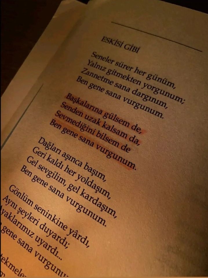 halil (@halil_yzn) on Twitter photo 