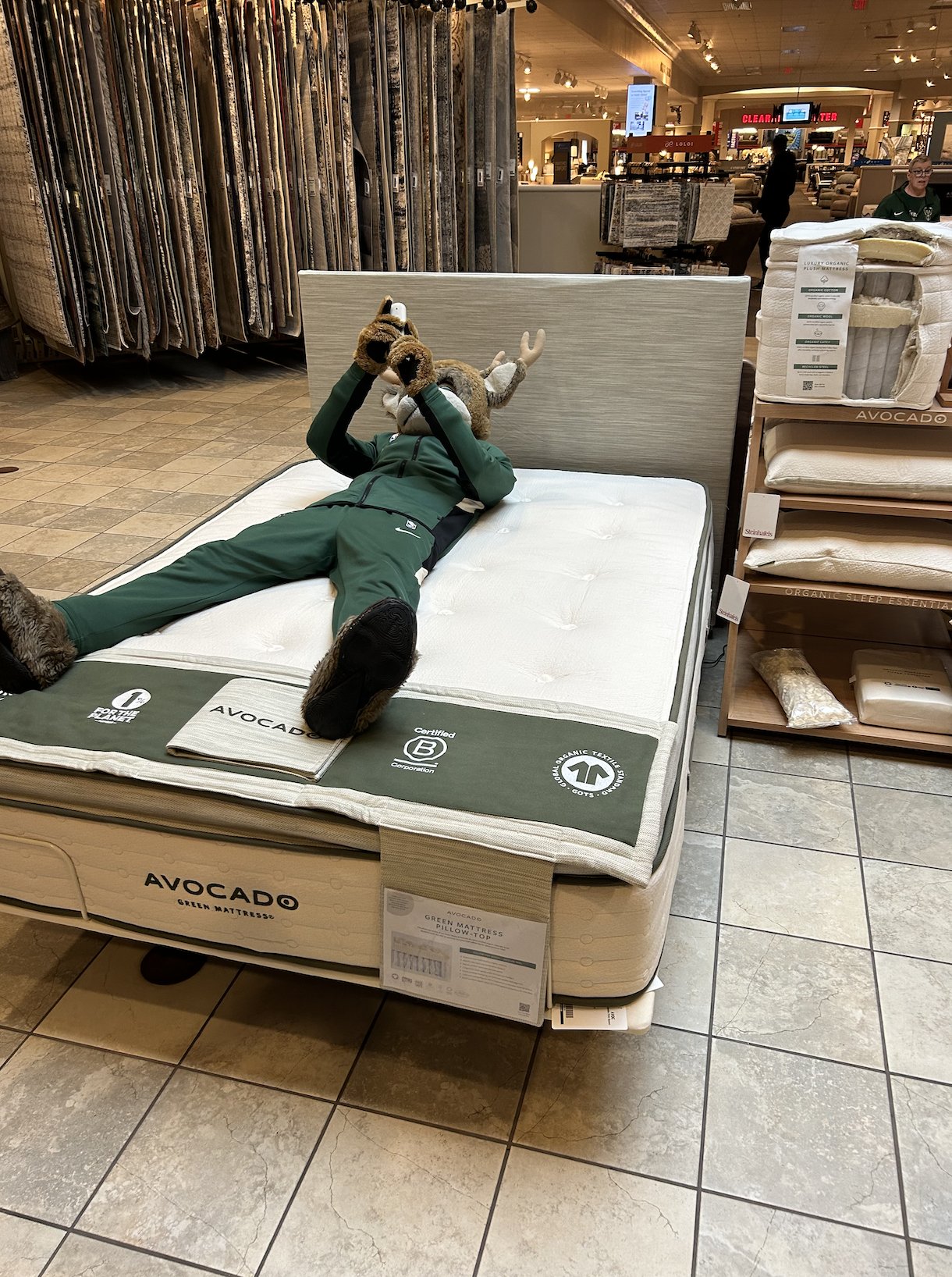 Steinhafels chaise lounge new arrivals