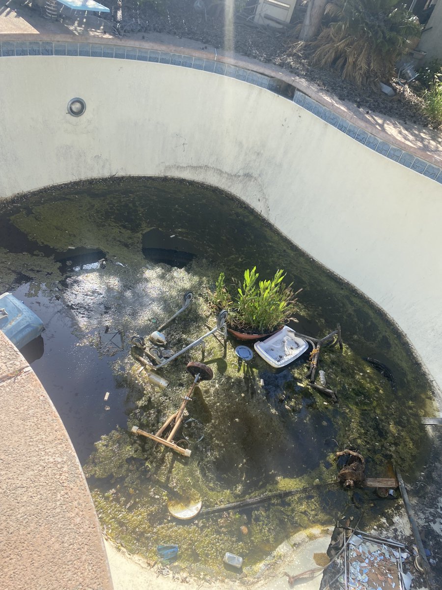 Just because a homeowner or renter ignores their green swimming pool, doesn't mean have to.   Green pools are a major contributor to residential mosquito problems.  If you have a neighbor with a green pool, you can call us at (661) 589-2744 or go to kernmosquito.com.
