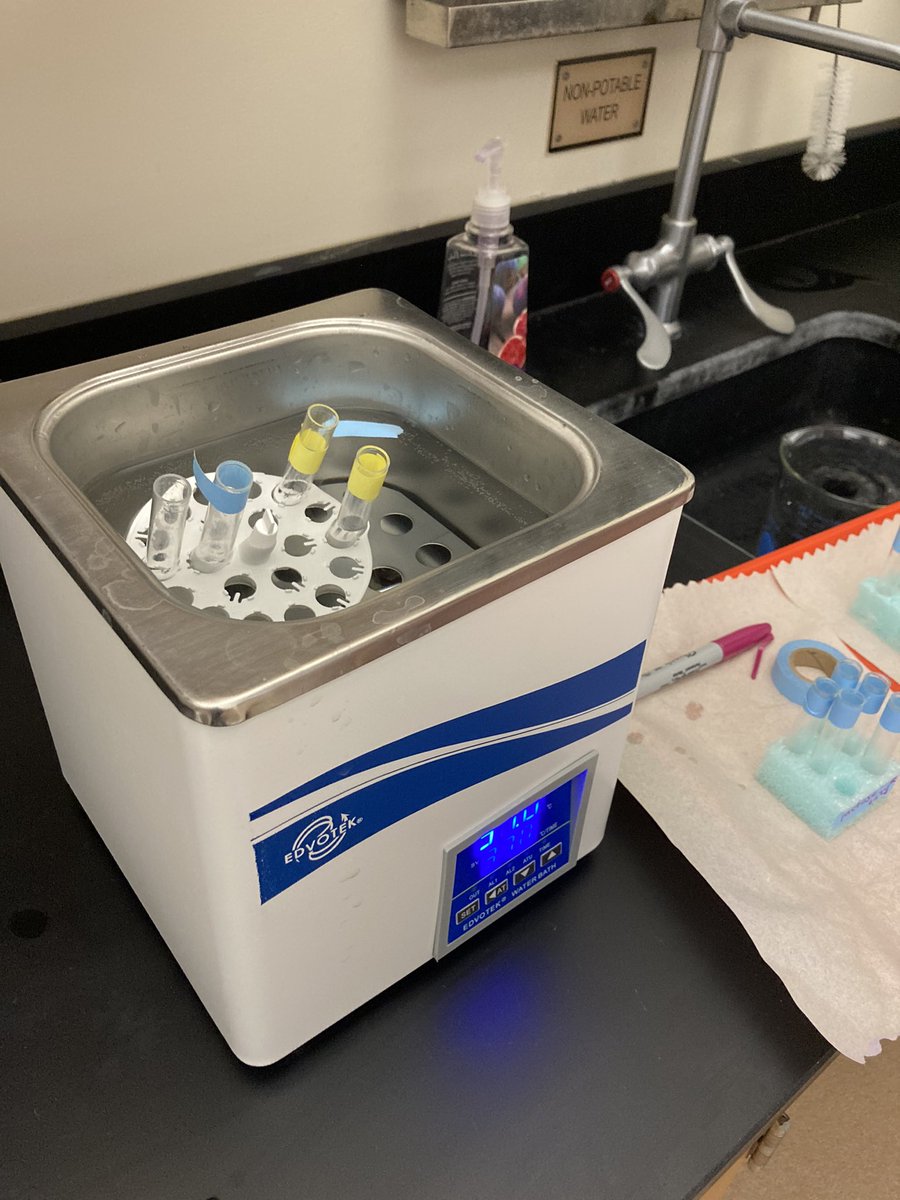 Mrs. Makrinos tweet media