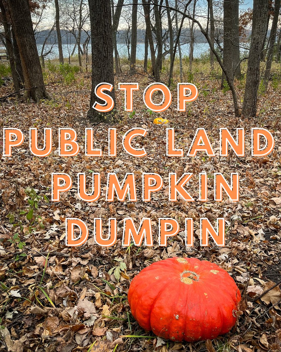 state parks and wildlife areas are not pumpkin dumps (it's illegal!) instead: compost give it to a farmer yard waste collection/local pick up and wildlife? their diet's just fine without pumpkin. if you leave them on your property, make sure they're not moldy or rotten.