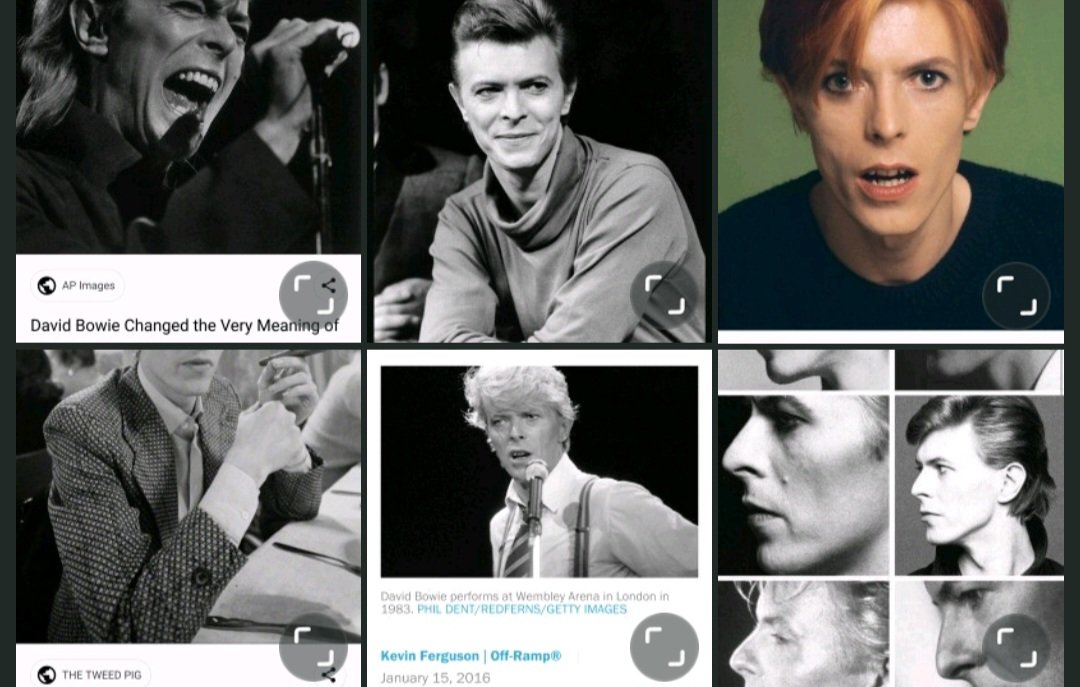 Britt Woo tweet media