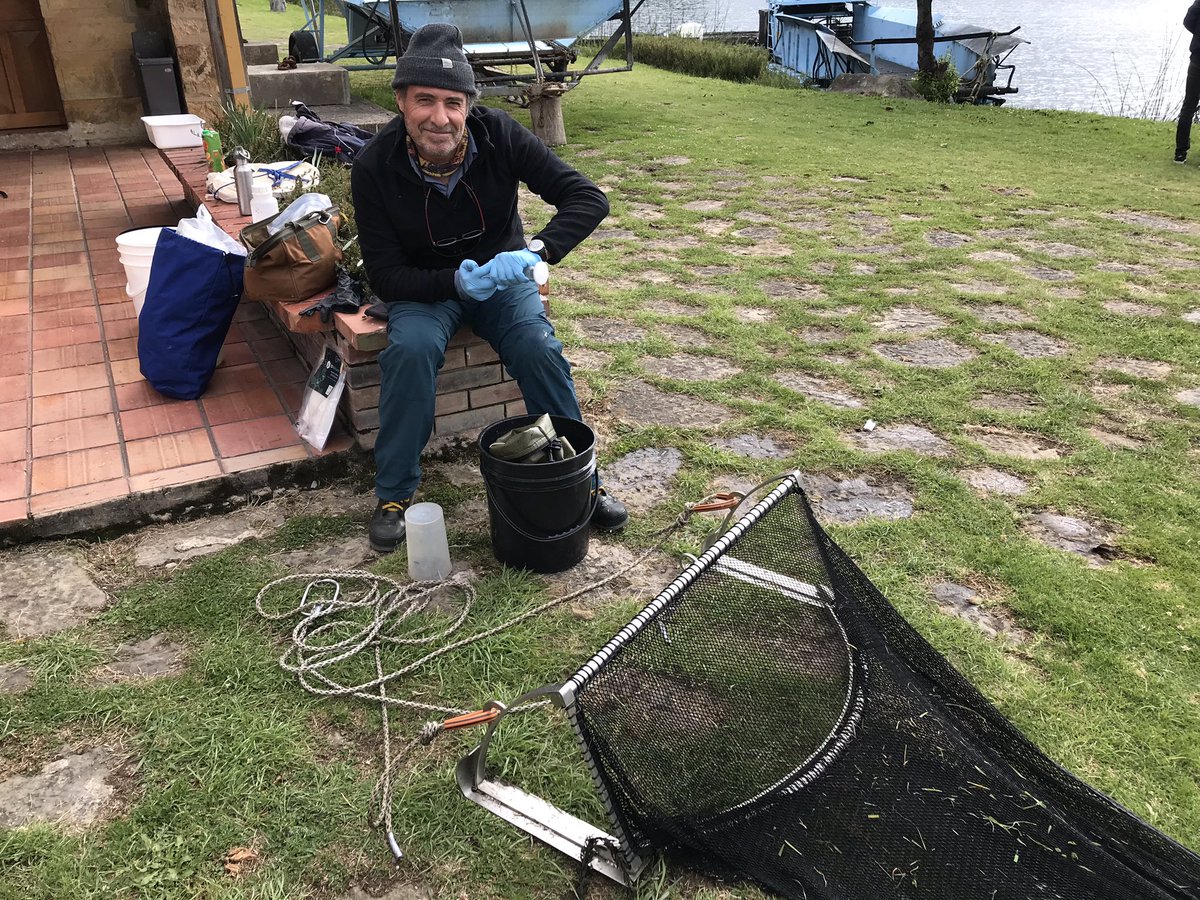 Carlos Lasso (@classoalcala) on Twitter photo Buscando el pez graso “extinto” del Lago de Tota: buceo; arrastres de profundidad a 40 m; nasas; anzuelos y uso 🧬 ADN ambiental. Gracias <a href="/rewild/">Re:wild</a> <a href="/Shoal_Org/">SHOAL</a> <a href="/Corpoboyaca/">Corpoboyacá</a> <a href="/inst_humboldt/">Instituto Humboldt</a> <a href="/CienciasUAndes/">CienciasUniandes</a> @SusanaC01714605 Buscando el pez graso “extinto” del Lago de Tota: buceo; arrastres de profundidad a 40 m; nasas; anzuelos y uso 🧬 ADN ambiental. Gracias <a href="/rewild/">Re:wild</a> <a href="/Shoal_Org/">SHOAL</a> <a href="/Corpoboyaca/">Corpoboyacá</a> <a href="/inst_humboldt/">Instituto Humboldt</a> <a href="/CienciasUAndes/">CienciasUniandes</a> @SusanaC01714605