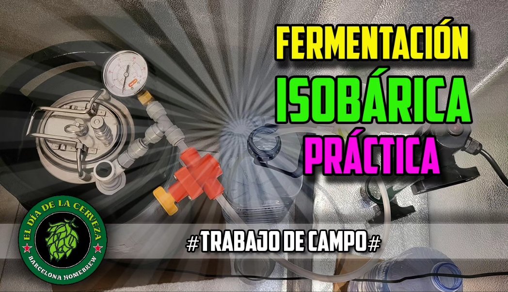 HOLA CERVECEROS! Nuevos videos en el canal Youtube! Los 2 videos que faltaban de la serie: FERMENTACIÓN ISOBÁRICA. Por fin los teneis subidos.
Espero que os gusten!...y ya sabeis, Rt, compartidlos y dadle a like! 😆🤣
<a href="/brewtusTbrewer/">Brewtus the brewer</a>
@MundoBirruno
👉📽👉 youtu.be/WrZwL8HPc_s