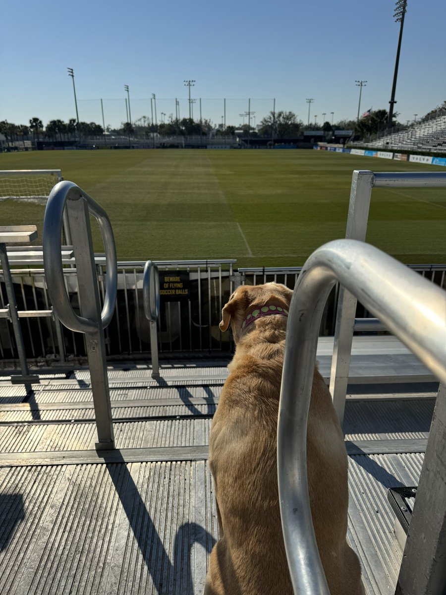 The @Chas_Battery @USLChampionship final is still 3 days away but #MaggieMoo is already in her seat looking over the field and waiting on the action.  #YourTownYourClub #CB93 #USLPlayoffs
