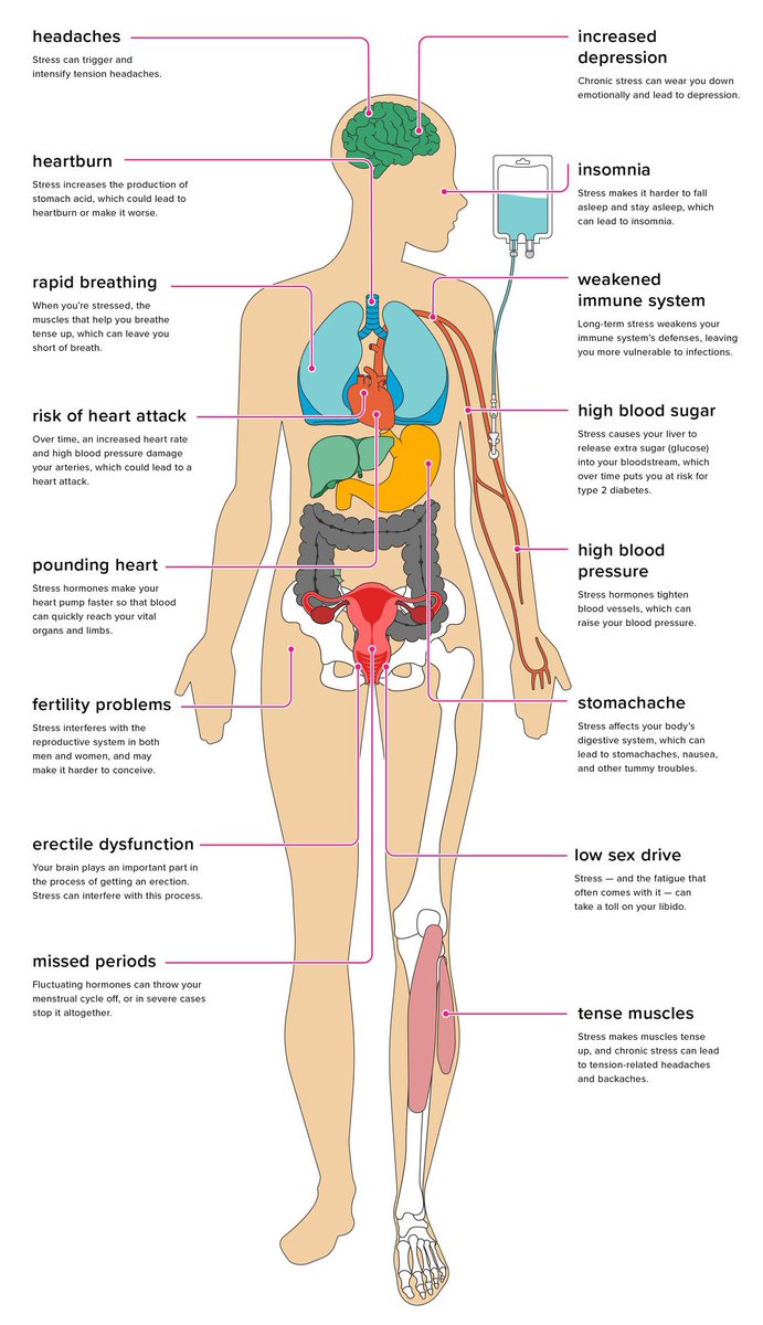 Stress Kills.

It elevates Cortisol Levels, Weakens the immune system, Impairs Digestion, Promotes Weight Gain, Raises Inflammation, and Lowers Testosterone.

Lift is too short to stress.

Sleep more, argue less, lift heavy.

Stress = Gone.