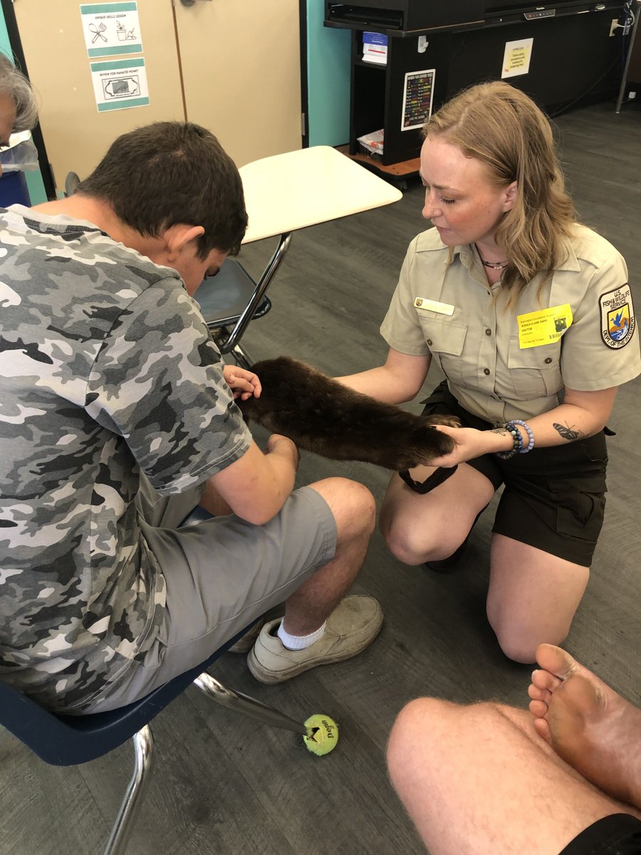 Buckingham Exceptional Student Center (@bucmanatees) on Twitter photo We had visitors come for an outdoor nature experience today! During this "Dingā Darling experience, We explored feathers, seashells, as well as pelts of bobcats and river otters. How fun!!! <a href="/LeeSchools/">School District of Lee County</a> <a href="/DingDarlingWS/">Ding Darling Wildlife Society</a> We had visitors come for an outdoor nature experience today! During this "Dingā Darling experience, We explored feathers, seashells, as well as pelts of bobcats and river otters. How fun!!! <a href="/LeeSchools/">School District of Lee County</a> <a href="/DingDarlingWS/">Ding Darling Wildlife Society</a>