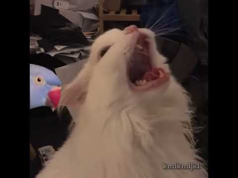 The agony I feel waiting to share new music: 😩😩😩