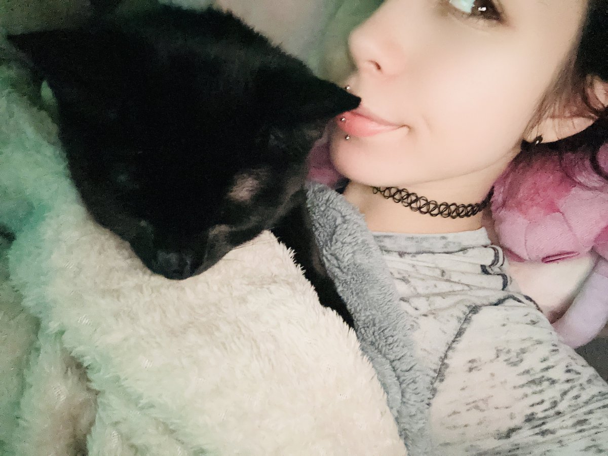 xX KIWI Xx tweet media