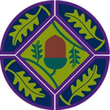 Young leaders training completed..
9 Explorer scouts started their training by completing module A